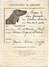 Cani cocker spaniel usato  Montecchio Emilia