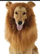 Lion mane fancy for sale  BRENTWOOD