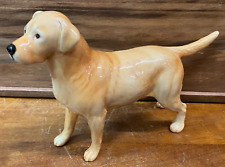 Lovely beswick labrador for sale  UK