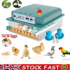 Eggs digital incubator for sale  MANCHESTER