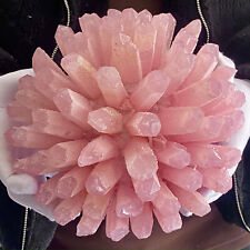 12,21 lb melhor espécime de cura de flores aglomerado de cristal rosa natural, usado comprar usado  Enviando para Brazil
