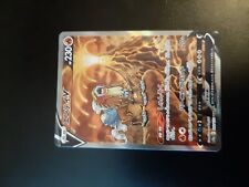 Entei alt art gebraucht kaufen  Leipzig