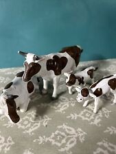 baby calves for sale  Kennebunk