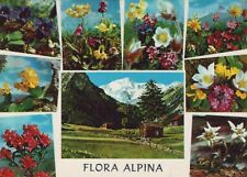 Cartolina flora alpina usato  Casalecchio Di Reno