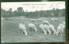 Chelles moutons d'occasion  Reims