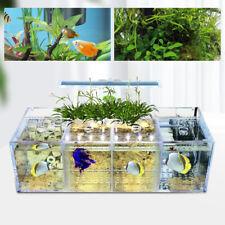 Grids acrylic aquarium for sale  Chino