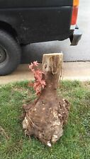 maple stump for sale  Kansas City
