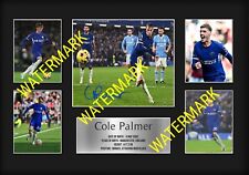 Cole palmer chelsea for sale  LIVERPOOL