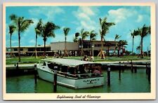 Everglades National Park Florida Flamingo Sightseeing Boat Chrome Postcard for sale  Shipping to South Africa