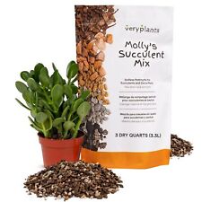 Molly succulent mix for sale  Las Vegas