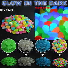Shed glow dark for sale  Shipping to Ireland