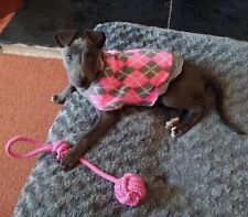 Puppy jumper pink for sale  LIVERPOOL
