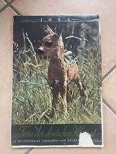 Kalender 1955 tiere gebraucht kaufen  Habichtswald