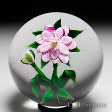 Debbie Tarsitano double-tiered pink-striped flower glass paperweight for sale  Shipping to South Africa