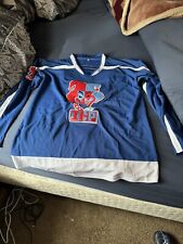 Icp jersey xxl for sale  Catskill