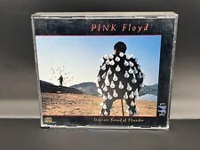 Usado, Pink Floyd: Delicate Sound of Thunder CD 2 discos limpos (1988) comprar usado  Enviando para Brazil