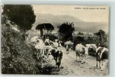 39248590 - Roma Calle romana con vacas Viehherde Rom (Roma) segunda mano  Embacar hacia Argentina