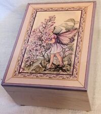 Lilac fairy flower for sale  Minneapolis