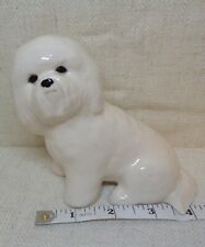 Sitting bichon friese for sale  GREAT YARMOUTH