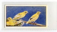 Hydes canary culture for sale  WITHERNSEA