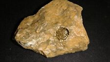 Old chalcopyrite calcite for sale  Dyer