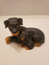 Rottweiler mom pup for sale  Boaz