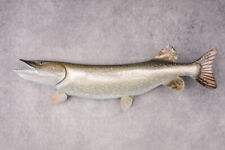 Northern pike reproduction for sale  Wrightstown