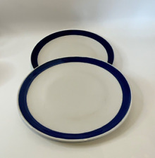 Dinner plates 25cm for sale  BRISTOL