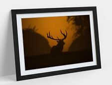Stag silhouette sunset for sale  Shipping to Ireland