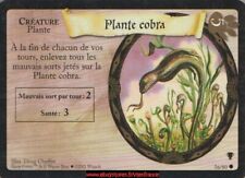 Plante cobra quidditch d'occasion  France