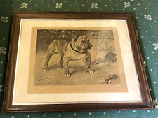 Large antique bulldog for sale  WARRINGTON