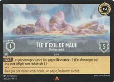 Ile exil maui d'occasion  Lesneven