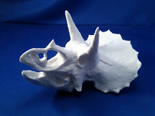 Triceratops skull scale for sale  Marana