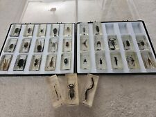 insect collection for sale  HARROW