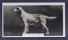 English setter mayesydd for sale  Shipping to Ireland