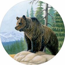 Bear grizzly mountain for sale  Erlanger
