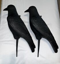 Set flambeau crow for sale  Texarkana