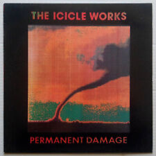 The icicle works usato  Piombino