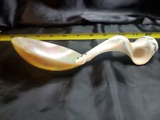 Mother pearl shell for sale  Payson