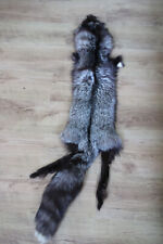 Taxidermy wild animals for sale  NOTTINGHAM