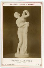 Sculpture vénus callipyge d'occasion  Pagny-sur-Moselle