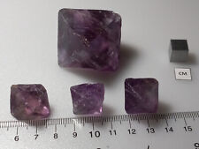 Ahoy fluorite purple for sale  Magnolia