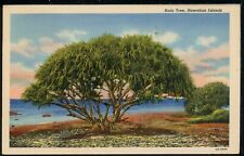 1944 Drzewo Hala Wyspy Hawajskie Vintage Lniana pocztówka M593 na sprzedaż  Wysyłka do Poland