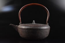 F4299: Escultura japonesa de poesia de ferro chaleira de chá bule Tetsubin comprar usado  Enviando para Brazil