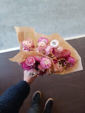 Mazzo helicrysum rosa usato  Villa Faraldi