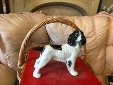 China dog spaniel for sale  COLCHESTER