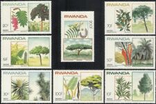 Ruanda 1983 alberi usato  Trambileno