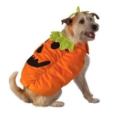 Orange pumpkin dog for sale  Dodge Center
