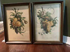 Vintage framed fruit for sale  Charlotte