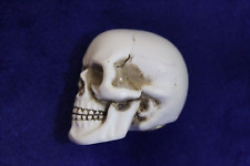 Skull gear shift for sale  Fairfield